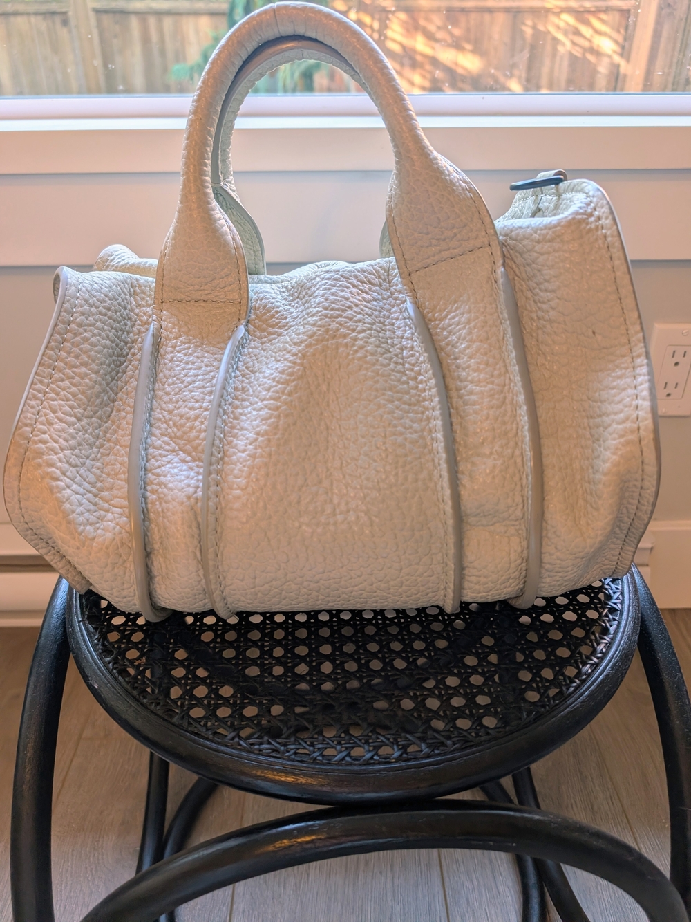 Alexander Wang Rocco Bag